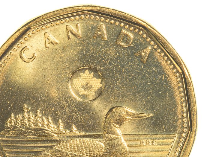 Canada loonie $1 coin