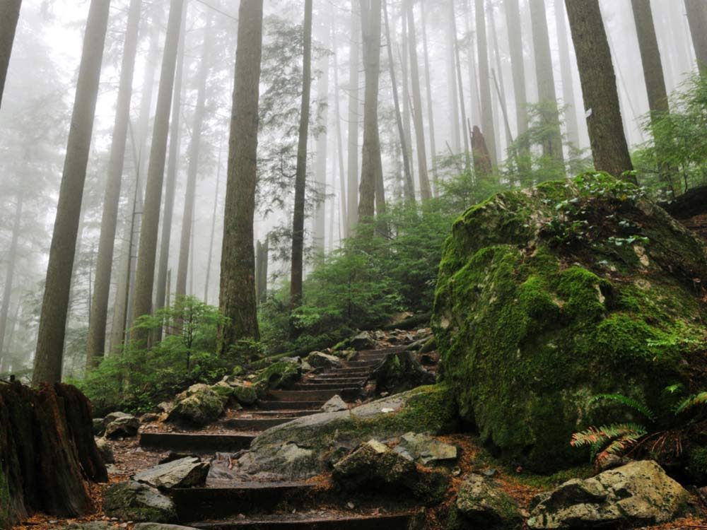 what to do in bc | Grouse Grind mountain