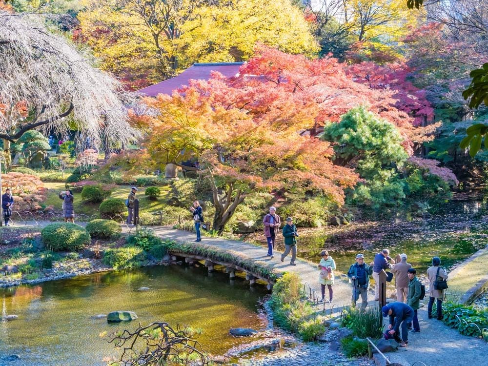 Koishikawa Korakuen Garden in Tokyo