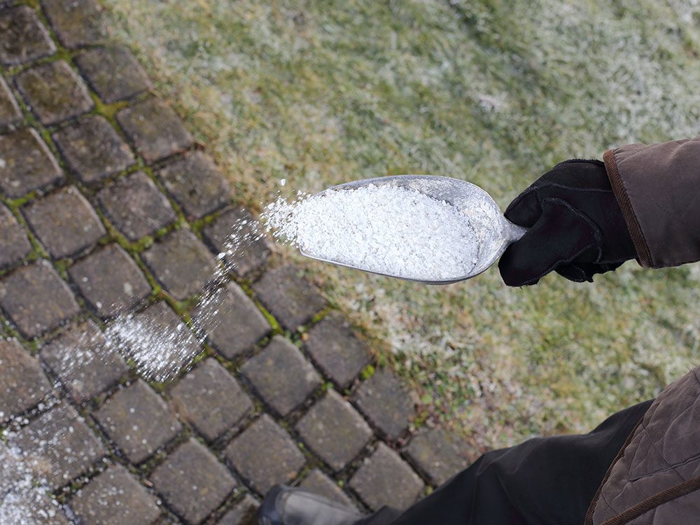 Salt can de-ice your driveway