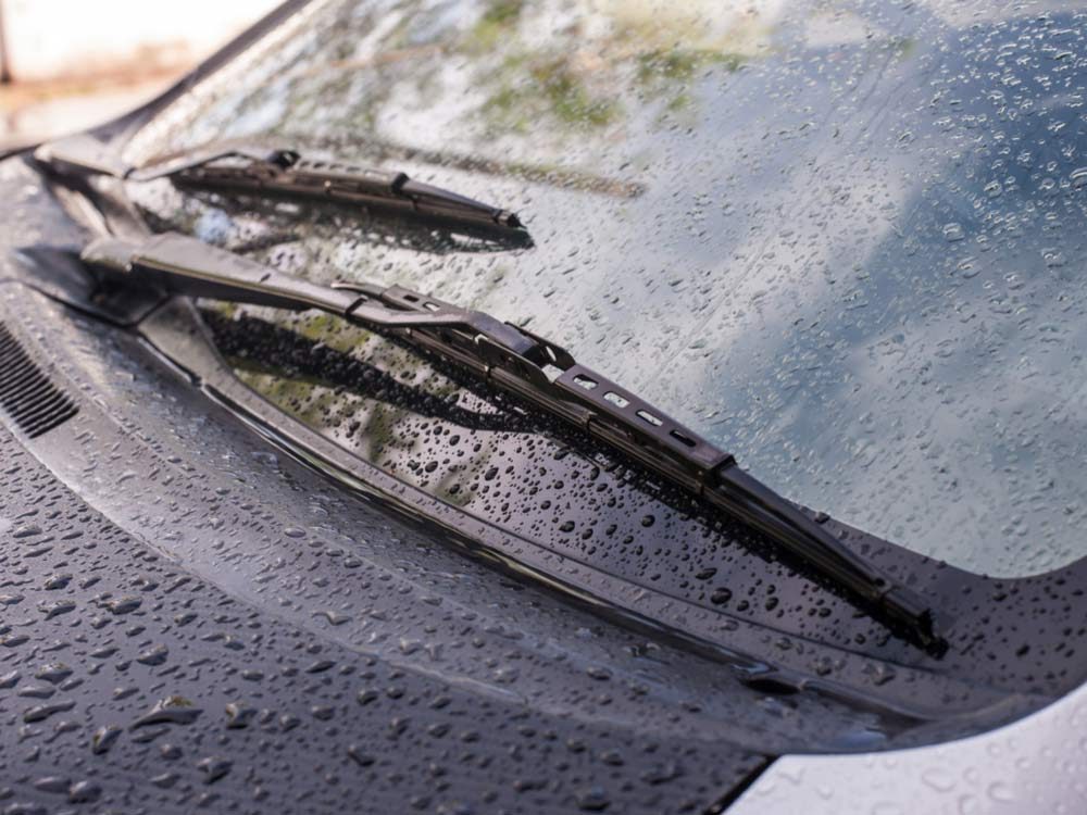 Wash your windshield wipers with ammonia