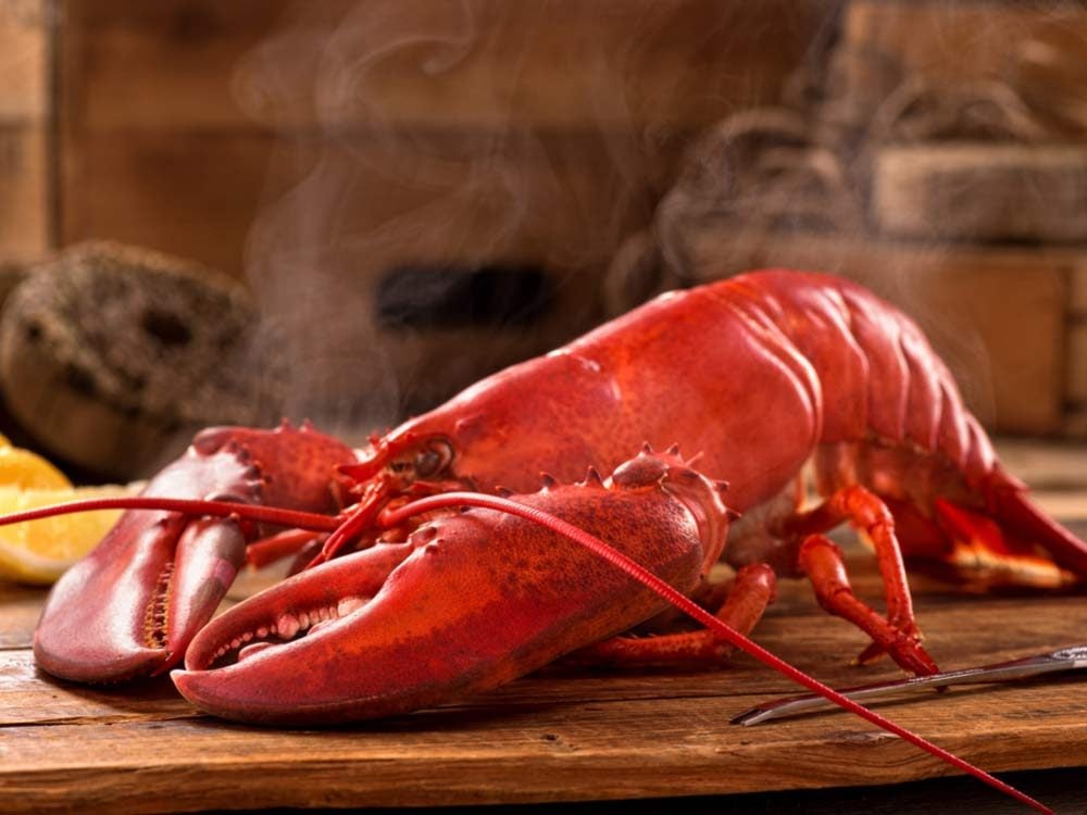 Freshly steamed lobster