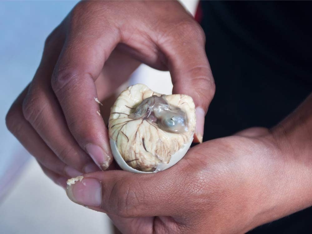 Balut from the Philippines