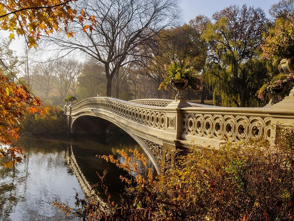 Bridge in Central Park, New York