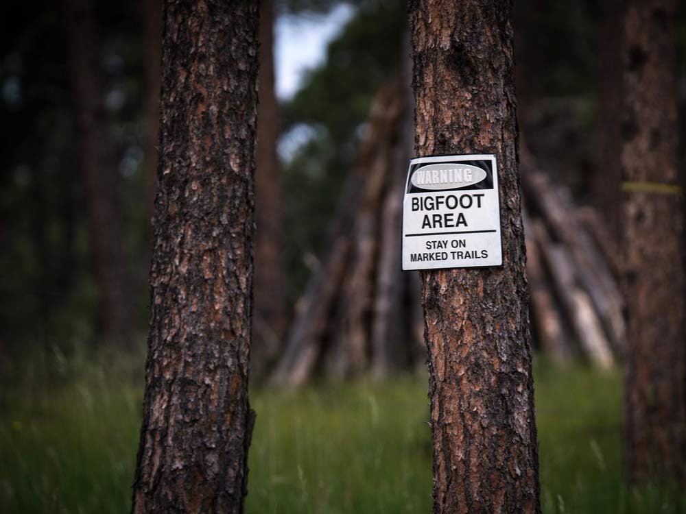 Bigfoot warning in wooded area
