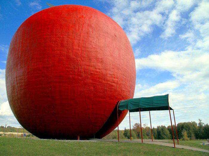 Giant apple in field