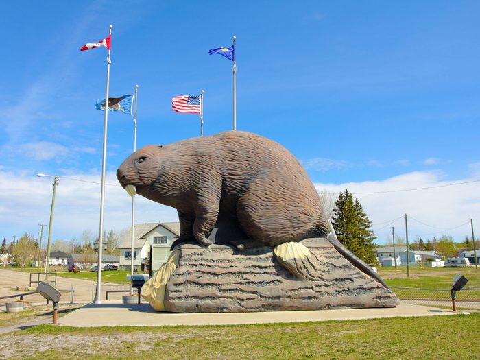 Giant beaver statue