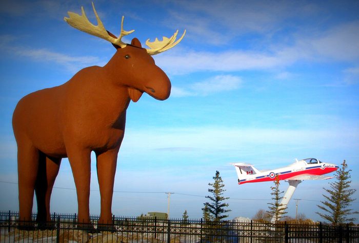 Giant moose statue