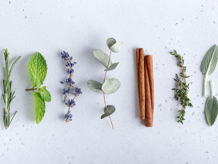 Floral and herbal sprigs of lavender, thyme, mint leaves and cinnamon, flat lay on neutral background. Ingredients for essential oils