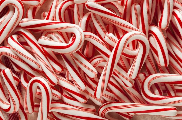 candy-cane-toxic-christmas-foods