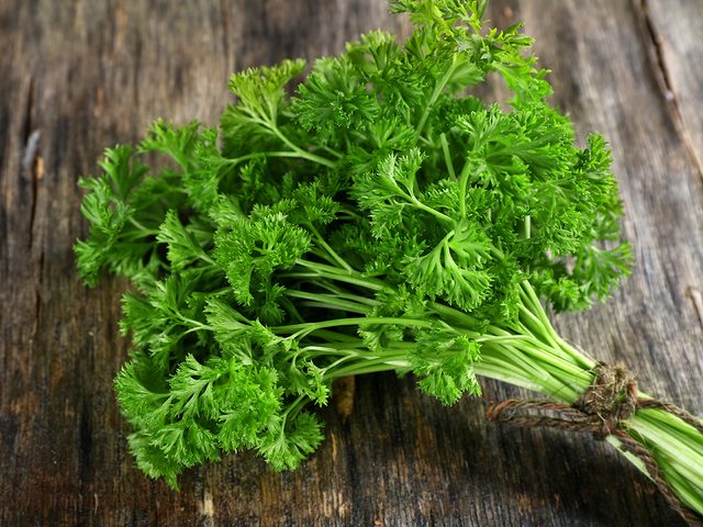 Medicinal plants to grow at home - parsley