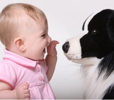 How to Get Your Pet Used to a Newborn