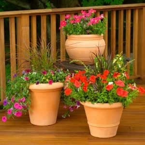 Protect Potted Plants