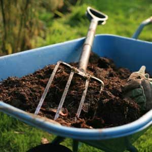 7. Prepare Soil Before Planting 