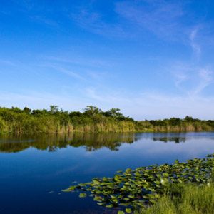 8. Everglades National Park, Florida, USA