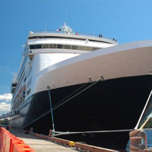 9. Check the Cruise Ship Schedules