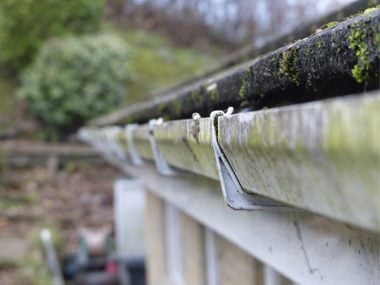 Make Sure Your Gutters Aren't Clogged