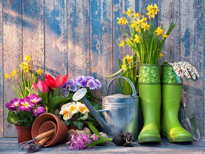 Gardening tips - gardening concept with rubber boots and watering can