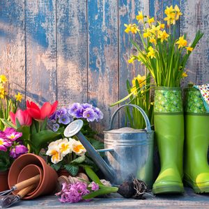Gardening tips - gardening concept with rubber boots and watering can