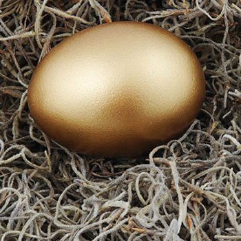 Your 30s: Nurturing Your Nest Egg