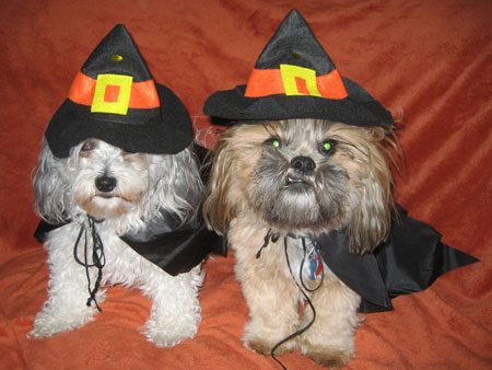 A Pair of Witches