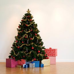 3. Make a Christmas Tree Stand