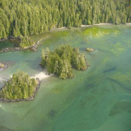 Nootka Island from Above 