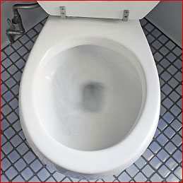 Clean your toilet