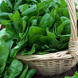 Vegetable Seasoning Guide: Spinach