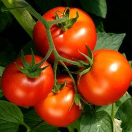 6. Eat More Tomatoes
