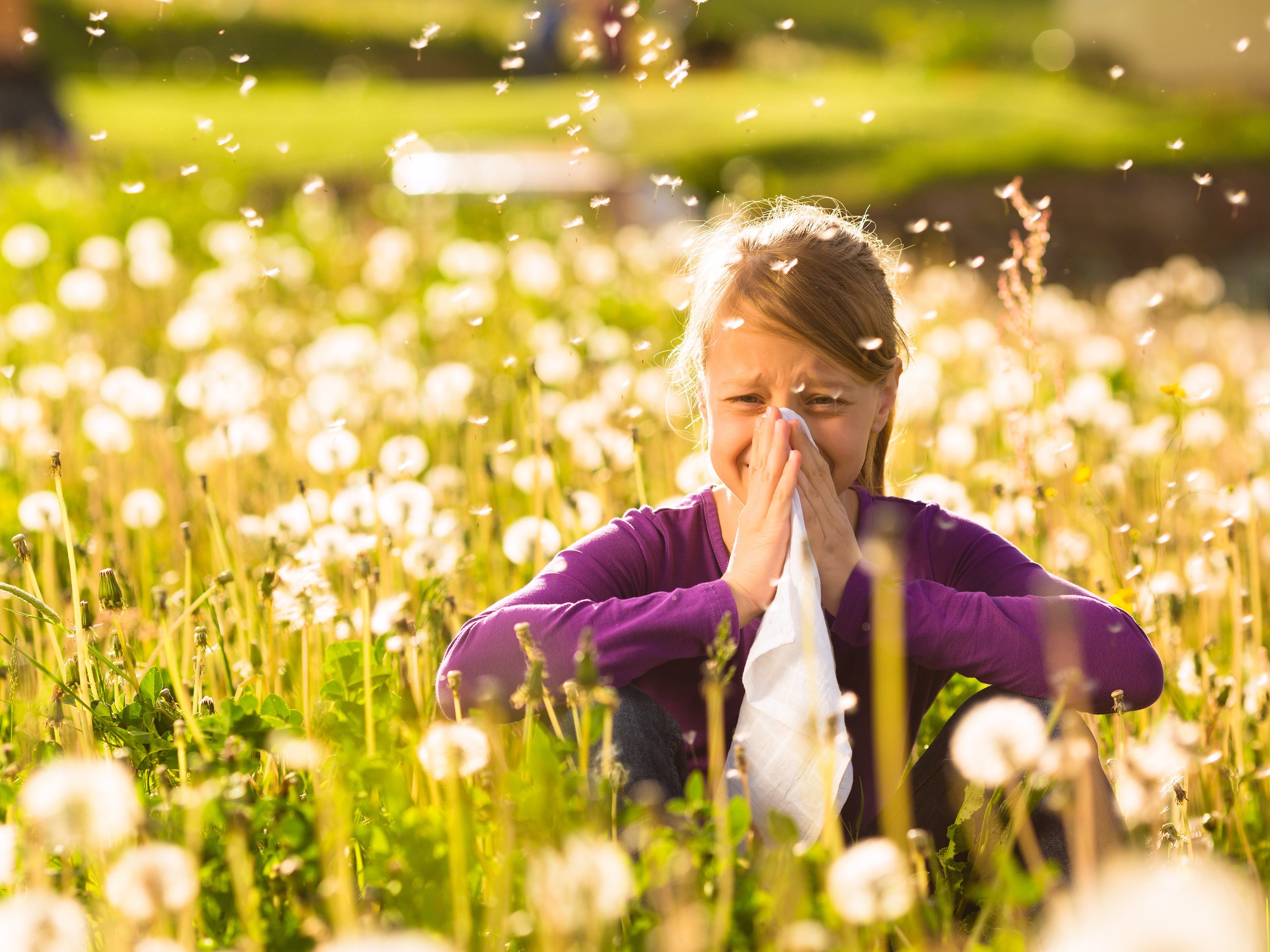 Easy relief from hay fever symptoms