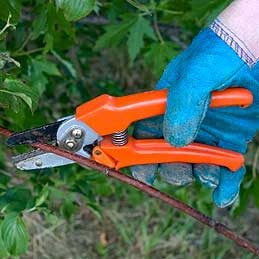 Hand Pruners and Loppers