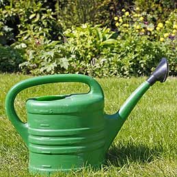 Watering Can or Watering Wand