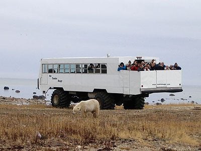Last Stop in Churchill: Tour the Tundra