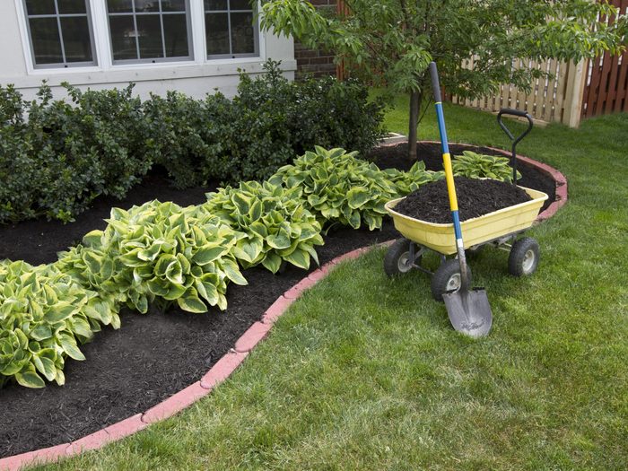 9. Add Fresh Mulch to Your Garden