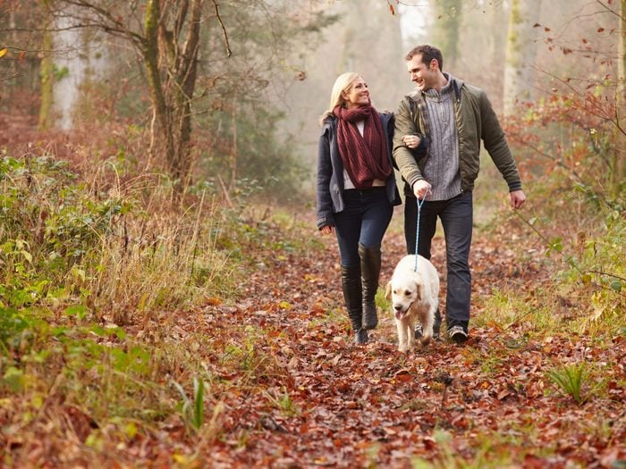Couple walking their dog in forest