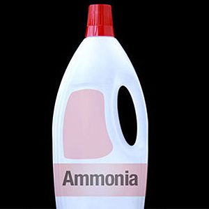 Amonia: Fight Mildew 