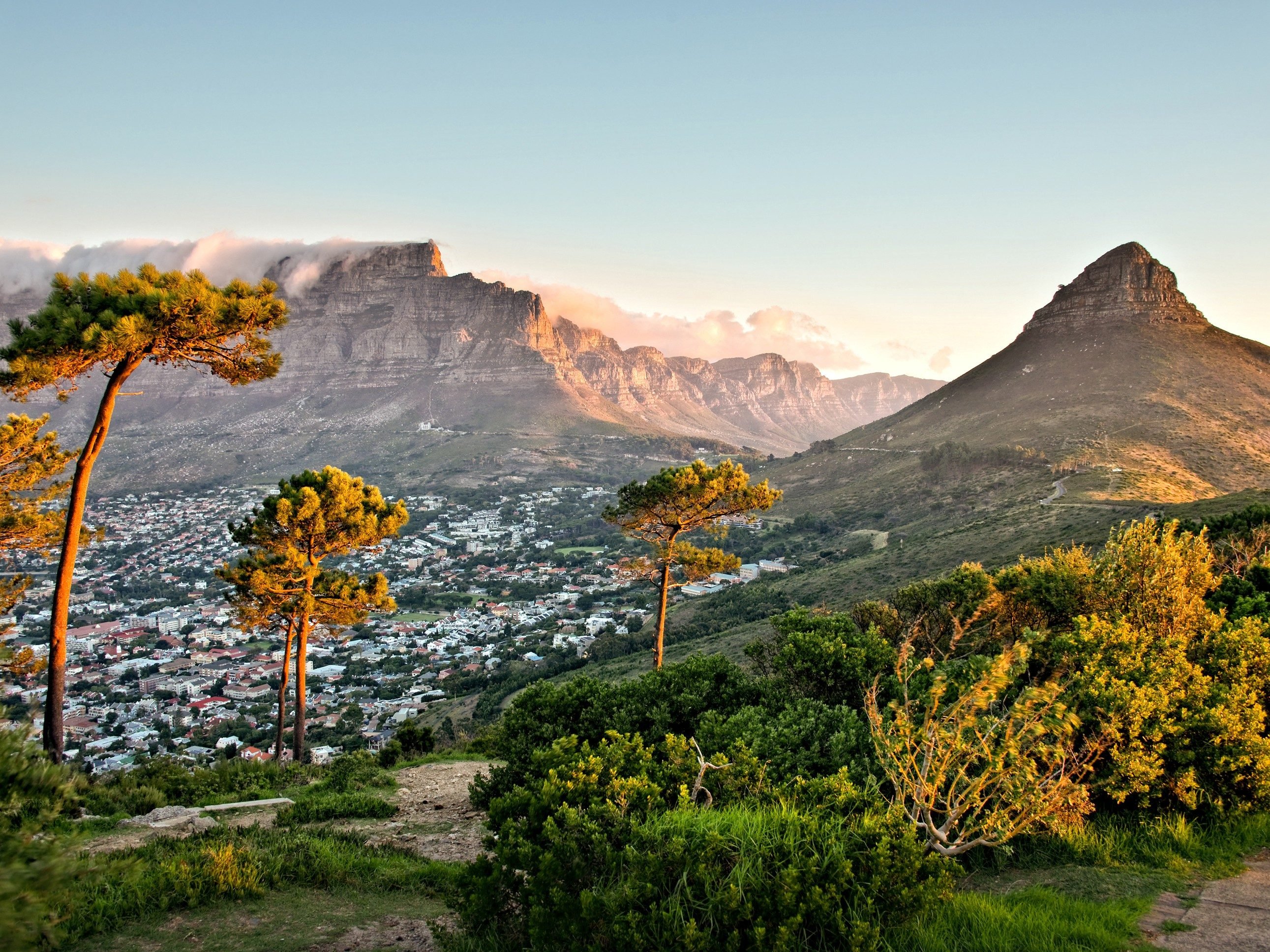 5. South Africa