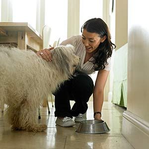 Preparing Your Pet's Meals is Better for Them