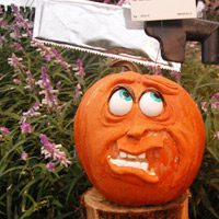 Disguise a Pumpkin Project: Please Don't Carve Me