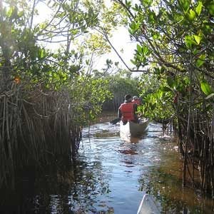 Florida Vacation Ideas: Everglades National Park