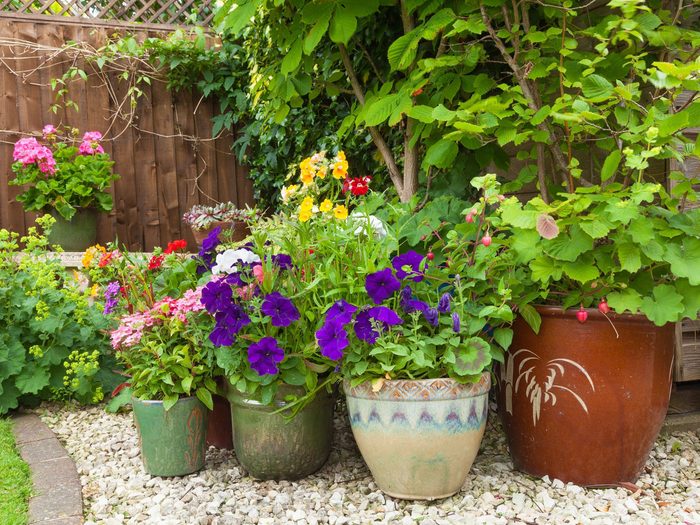 Consejos de jardinería: llene un rincón sombreado con macetas