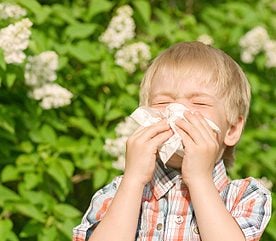 A Complainer's Guide to Allergy Season