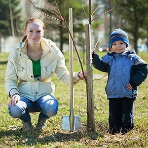 8. Protect Young Trees with Paper