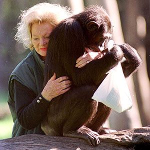 2. Millionaire Pets: Kalu (Chimpanzee), $80 million