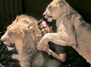 The Lion Whisperer: Fighting to Save an Endangered Species