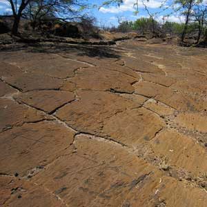 6. Puako Petroglyph Archaeological District