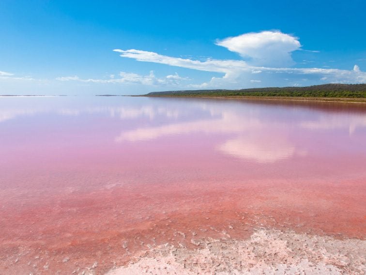 Visit the Pink Lake in Australia