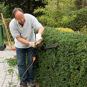 Pruning hedges