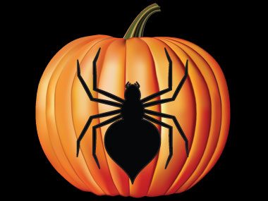 Pumpkin Pattern #17: Scary Spider